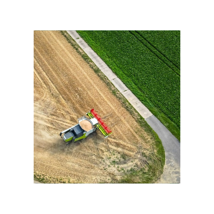 Social Innovations for Agrifood Sustainability Transition